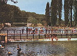 Foto n 10