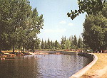 Foto n 11