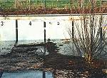 Foto n 16