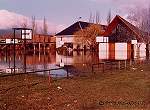 Foto n 1