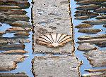 Camino de Santiago, todas las etapas y albergues