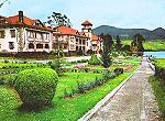 Foto n 15